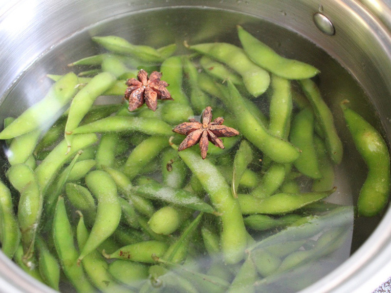 ����ë��������