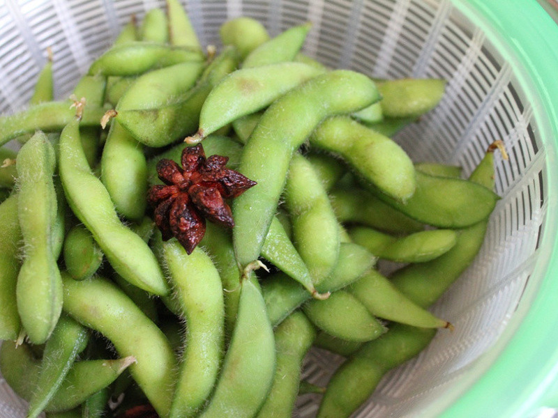 ����ë��������