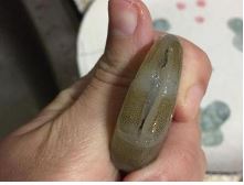 ������ζ�r������