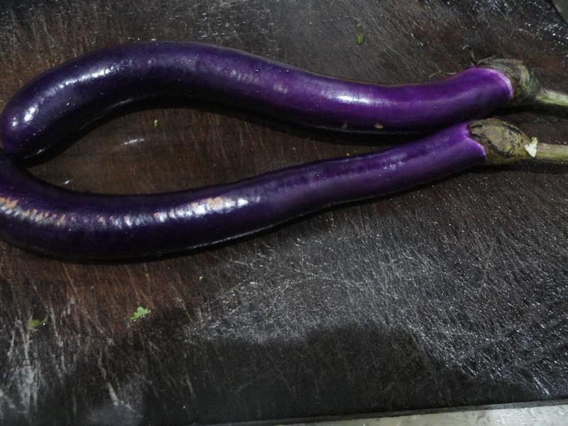 ����˫�ѵ�����