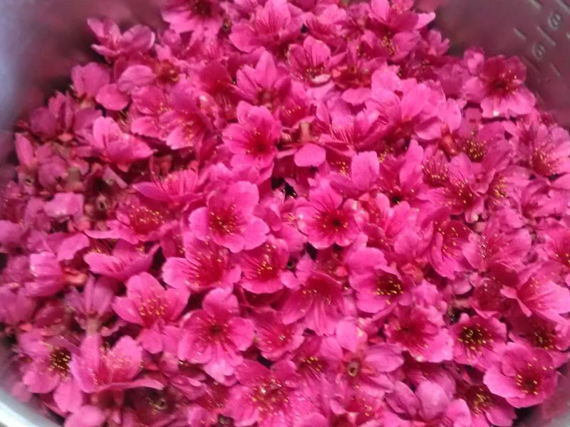 ����ɽӣ��������