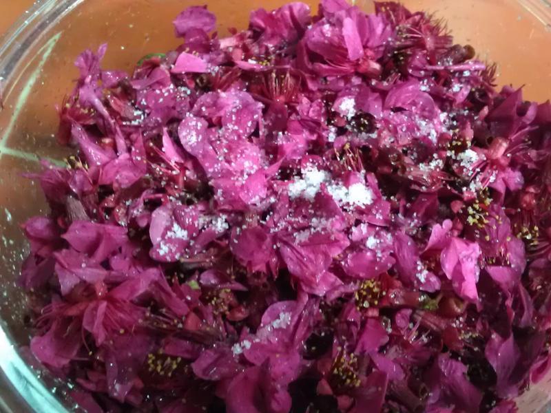 ����ɽӣ��������