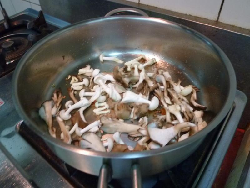 ˫��˫��÷����������