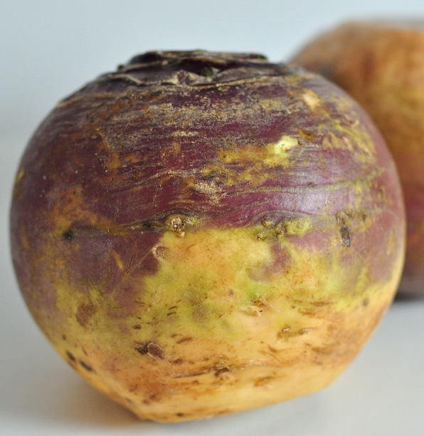 ������ݼ����������