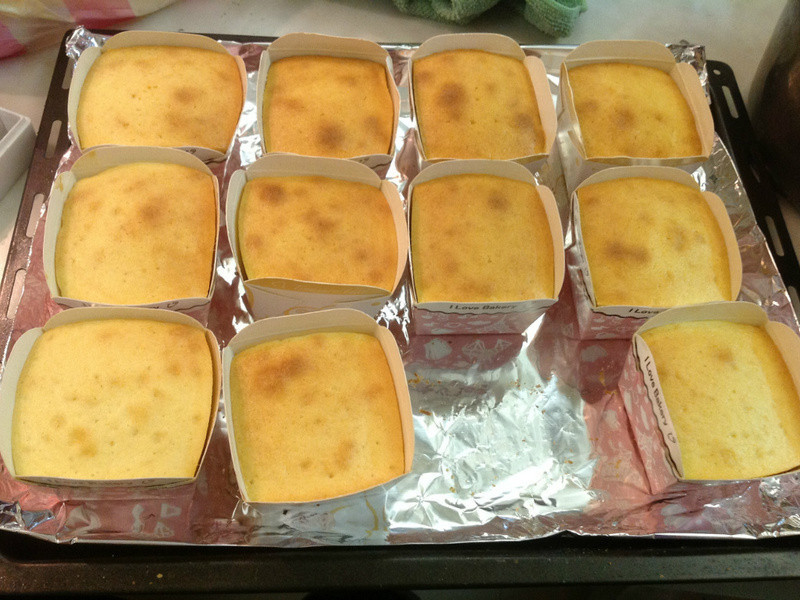 ����ݮ�Ͱ�ӥ�����̡�~��ݮ��ʿ�������������һ�����������