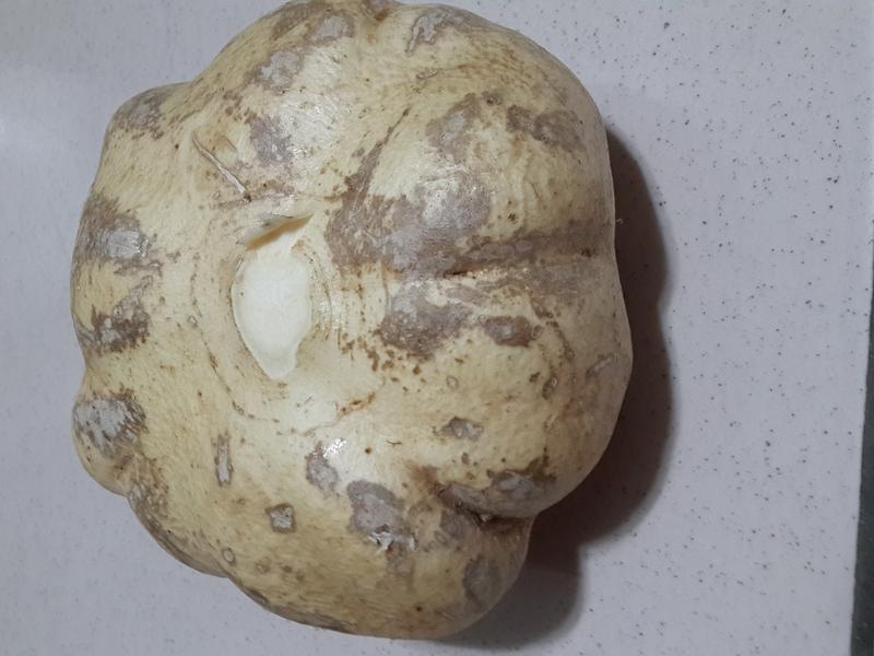 �ڗ���������������