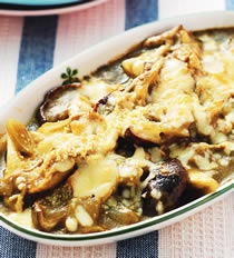 ��ʽ�ུ�hҰ��������