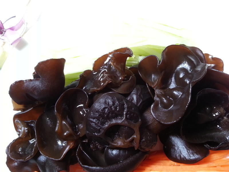 ��ľ�����ͷⷬ��*��*������