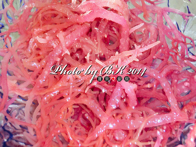 ���躣���ѡ�ŵ��C���ݶ���������