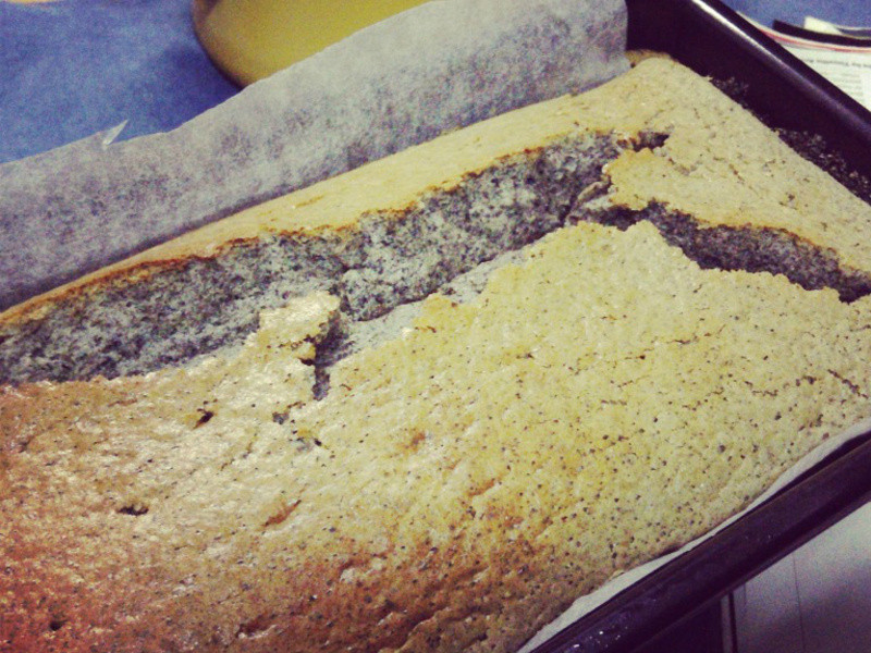 ��Cheese����֥��������˾���� С�����������