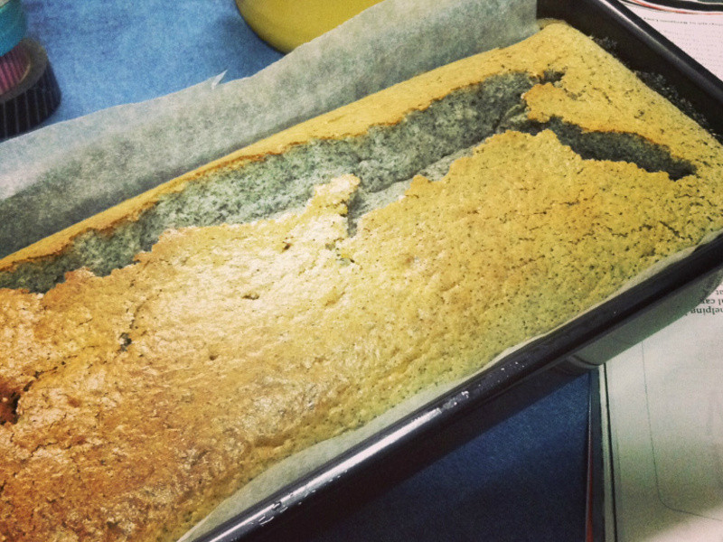 ��Cheese����֥��������˾���� С�����������