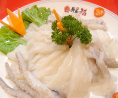 ֽ�����������