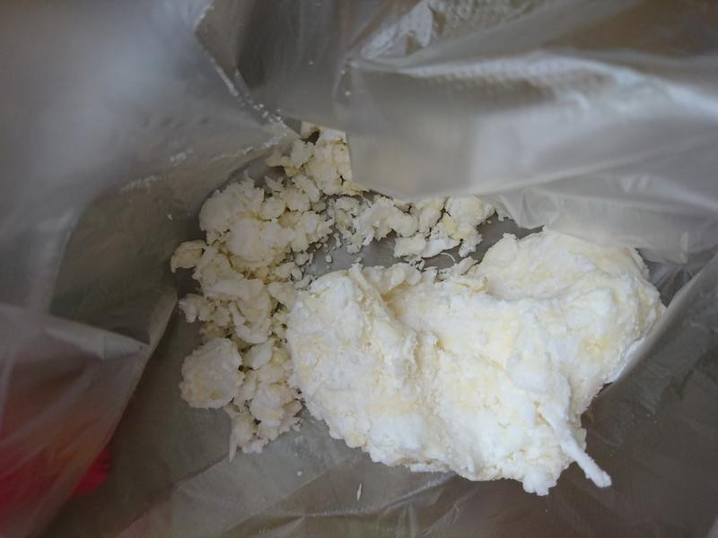 �͵���è���������