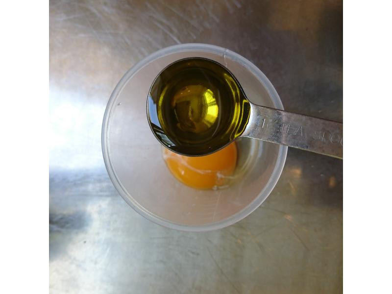 �͵���è���������