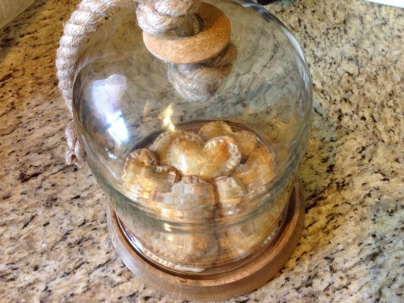 ����ެ����������ɱ�?!!!������