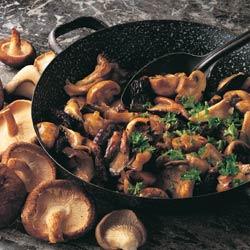 �����Ĺ�������