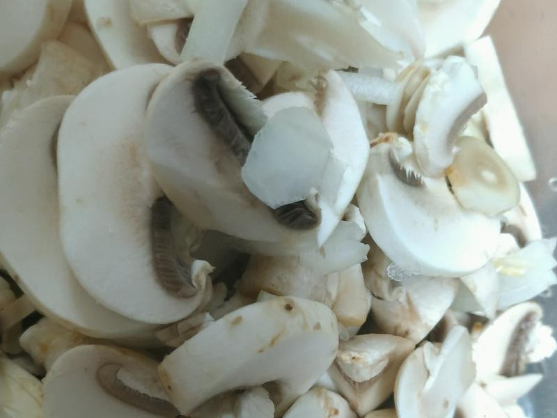 ��ʽެ���⽴������