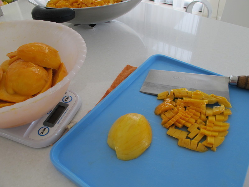 ������?��Ũâ����������