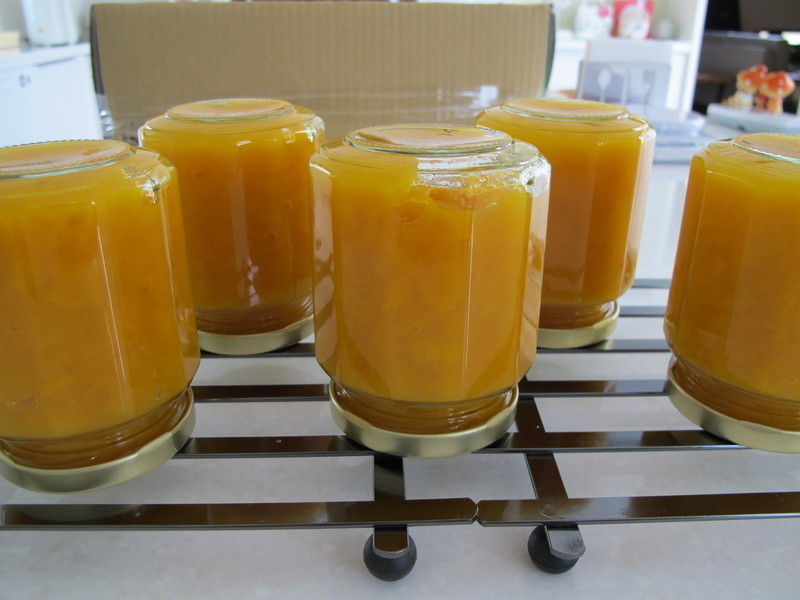 ������?��Ũâ����������