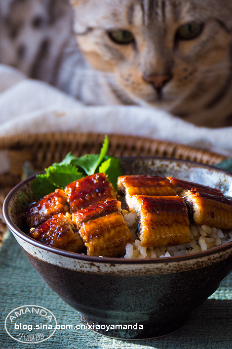 �¶�����ʳ�ҡ����㷹��������