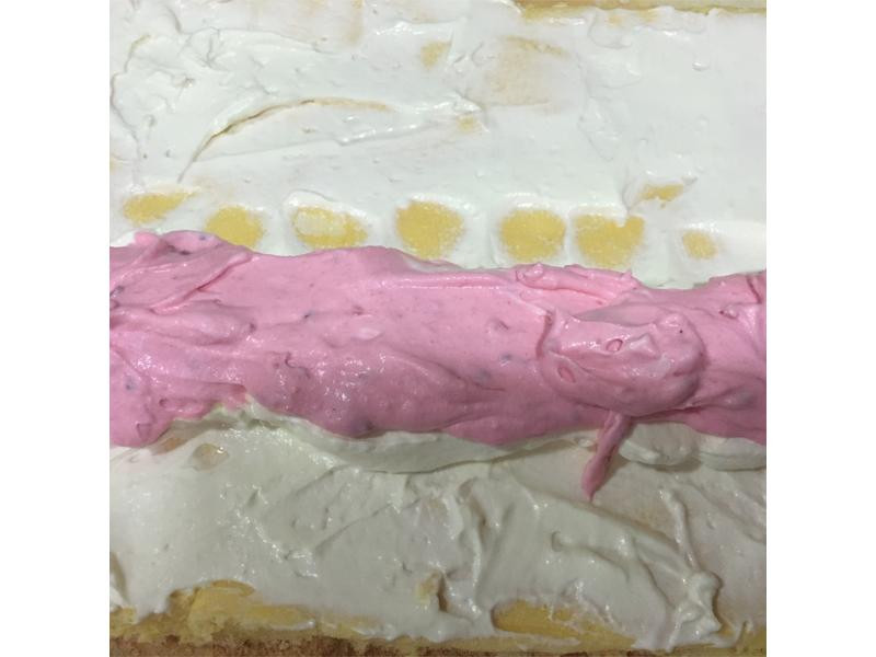 ˫ɫ��ݮ�����������