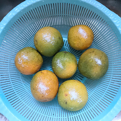 ���â����������