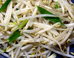 炒绿豆芽的做法