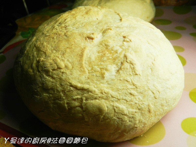 ����Բ���������