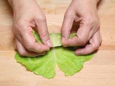 ���˾�������