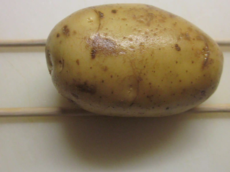 ������ζ������������