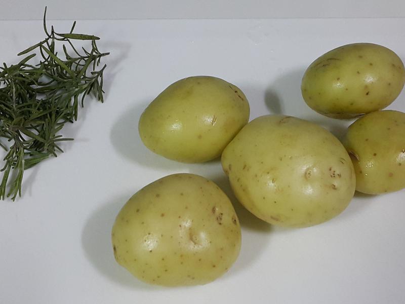 �����Ե��㿾������������