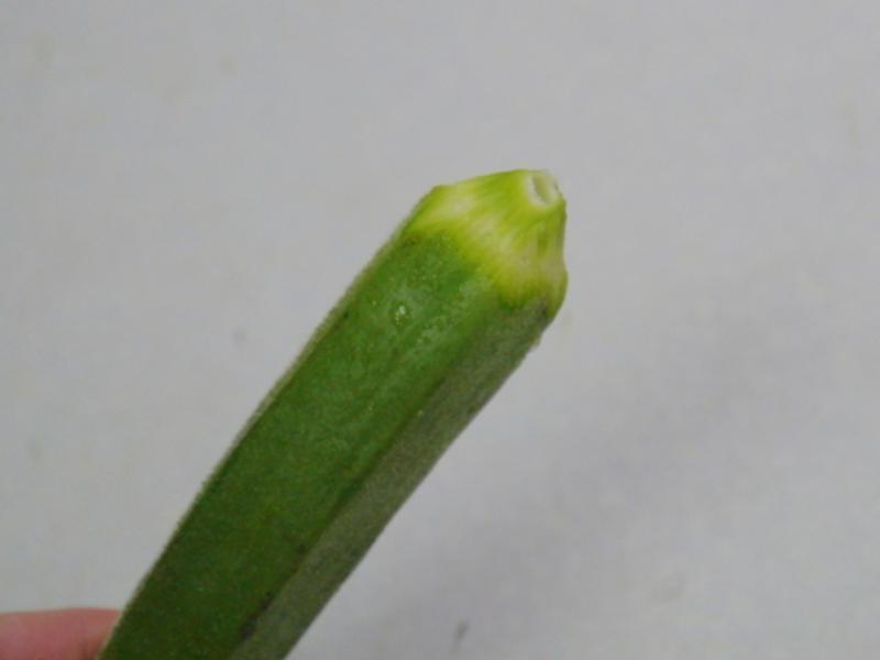 ��ʽ���������ߵ�����