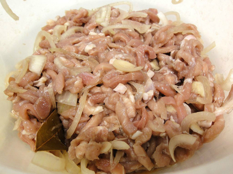 ����ʳ�ף���ʽ��ɫ��˿������