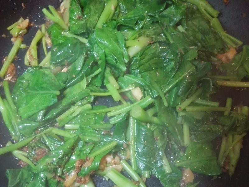 ɳ�������˿������