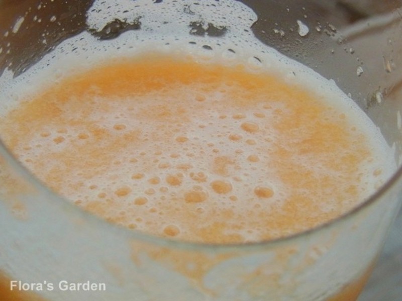 ����������֭����¶������