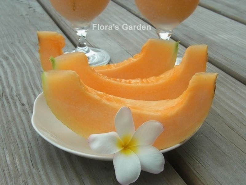 ����������֭����¶������