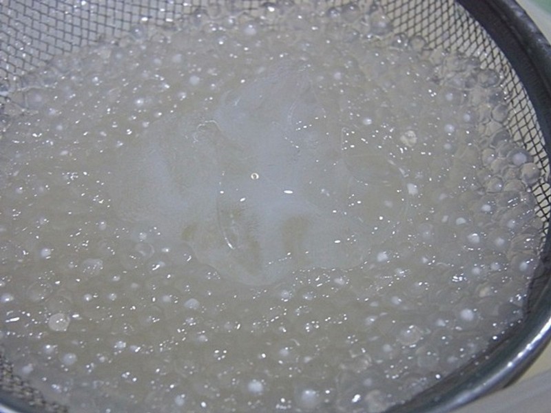 ����������֭����¶������