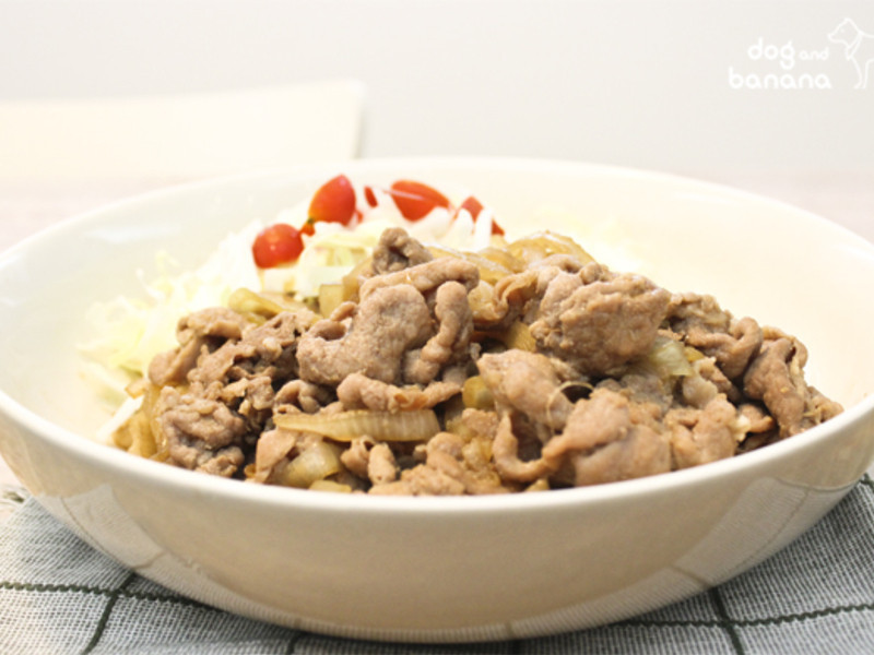 ��ʽ�������������