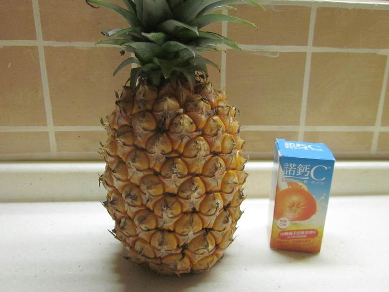 ����ѩ���������