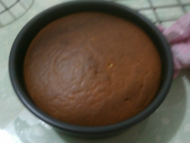 ��Ũ�����ݷ絰�������