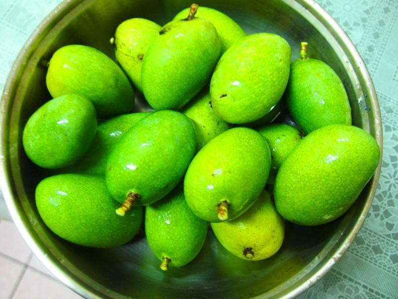 ����ζ���˹�����������