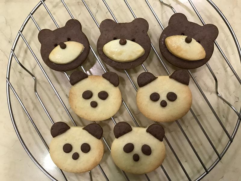 ������ɵ�����