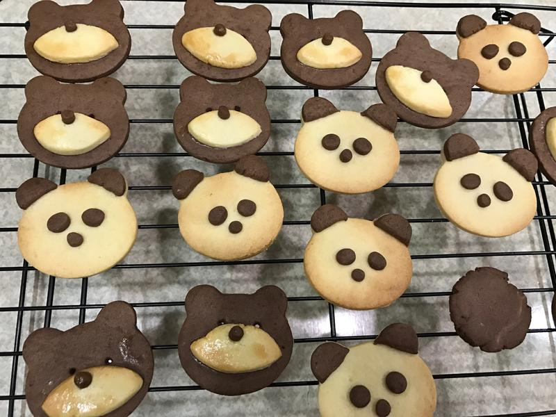 ������ɵ�����