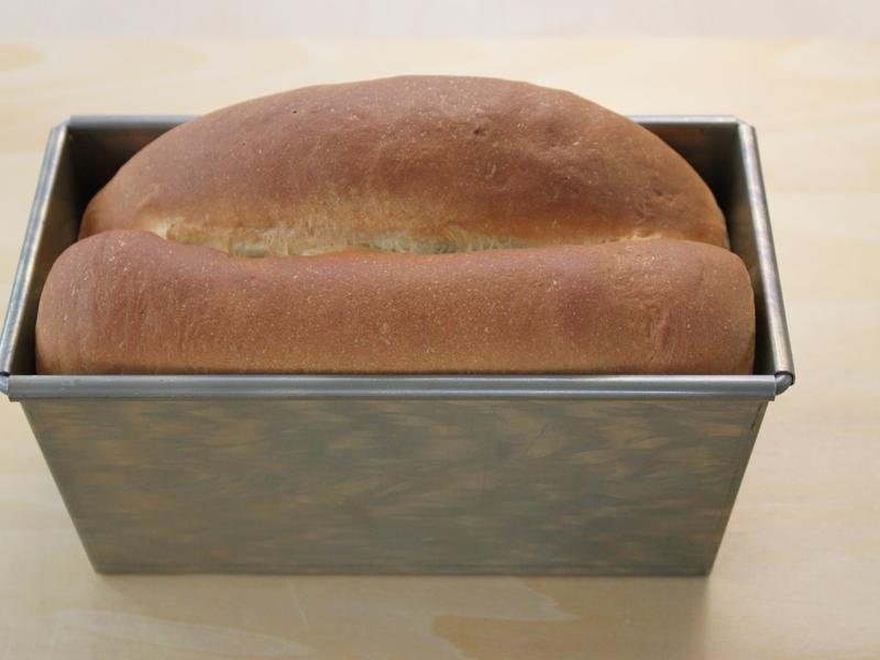 ����춹������˾������