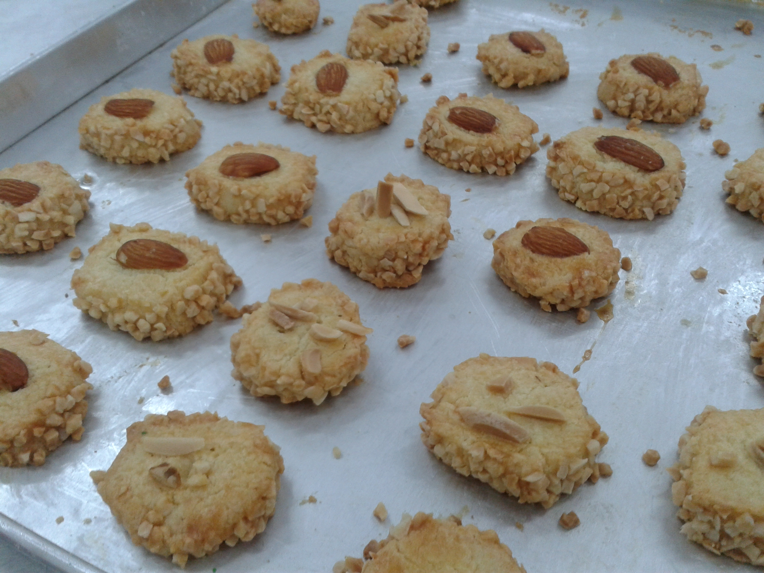 ����Բ��������