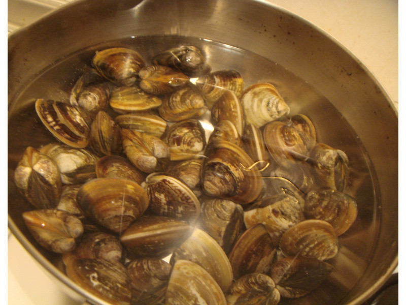 ��ͷ���Ӹ��ü���������