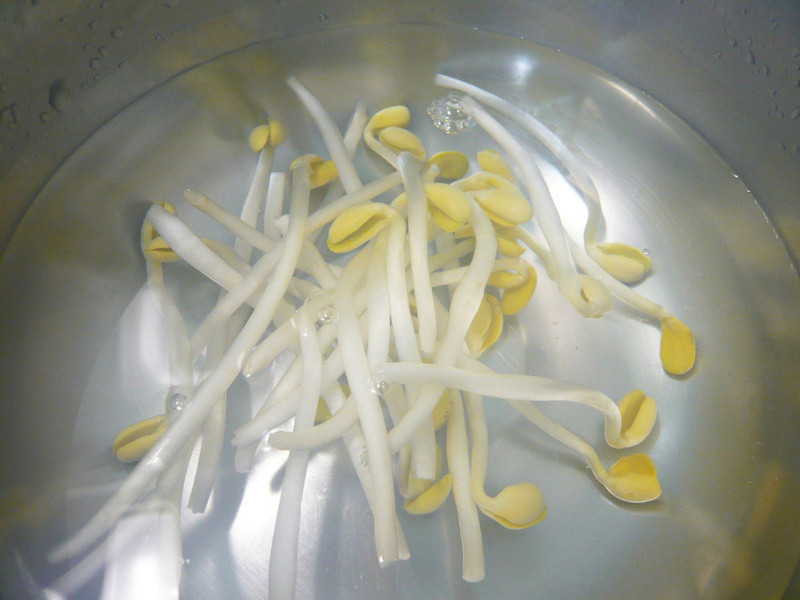 �����ݲ������������