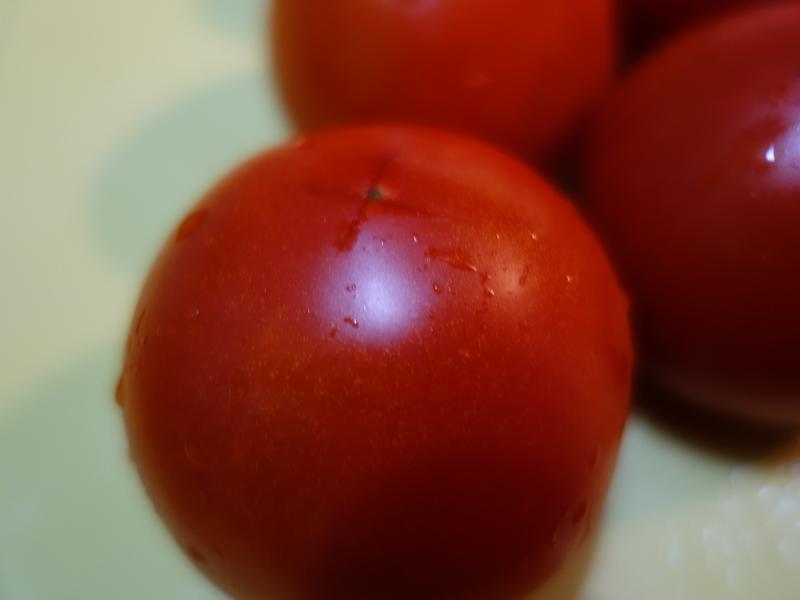 ���ެ�����������ţС��-���ָ��������������