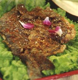 wow�����������