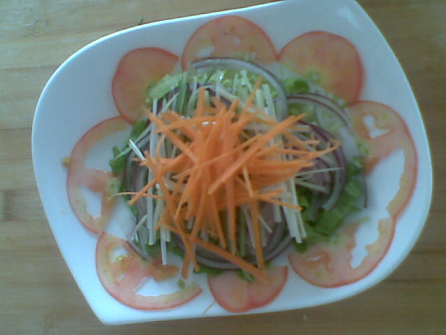 ʲ��ɳ��������